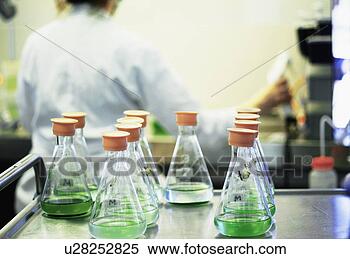 Stock Image - test tubes of 
plant cultures 
in lab. fotosearch 
- search stock 
photos, pictures, 
wall murals, images, 
and photo clipart