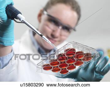 Stock Photography - biological research 
scientist pipetting 
cultures into 
a multiwell. fotosearch 
- search stock 
photos, pictures, 
wall murals, images, 
and photo clipart