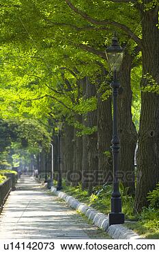 Stock Photo - gas lamp. fotosearch 
- search stock 
photos, pictures, 
images, and photo 
clipart