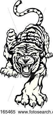 Clipart - ilustração,  lineart, 
 animal,  tiger, 
 mascote,  esportes. 
fotosearch - busca 
de ilustrações 
clipeart e desenhos