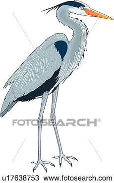 Clipart - great blue heron. 
fotosearch - search 
clipart, illustration, 
drawings and vector 
eps graphics images