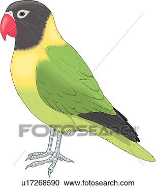 Clipart - love bird. fotosearch 
- search clipart, 
illustration, 
drawings and vector 
eps graphics images