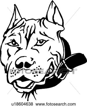 cani pitbull