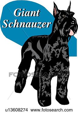 Clipart - giant schnauzer. 
fotosearch - search 
clipart, illustration, 
drawings and vector 
eps graphics images