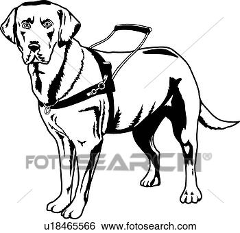 guide dog figure