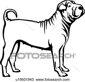 Bilder+sharpei