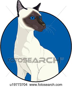 Clipart - siamese cat. fotosearch 
- search clipart, 
illustration, 
drawings and vector 
eps graphics images