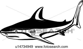 Clip Art - bull shark. fotosearch 
- search clipart, 
illustration, 
drawings and vector 
eps graphics images