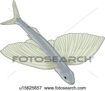 flying fish clip art free - photo #17