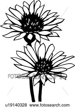 Clip Art - daisies. fotosearch 
- search clipart, 
illustration, 
drawings and vector 
eps graphics images