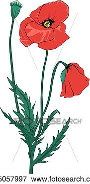 Clip Art - red poppy. fotosearch 
- search clipart, 
illustration, 
drawings and vector 
eps graphics images