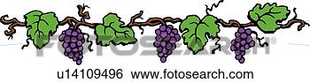 grapevine clipart