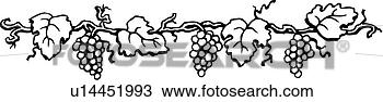 grapevine clipart