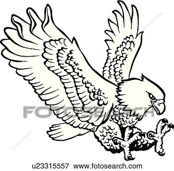 eagle illustration