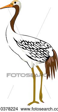 Clipart - crane, animal, 
birds, bird, vertebrate, 
japanese crane. 
fotosearch - search 
clipart, illustration, 
drawings and vector 
eps graphics images