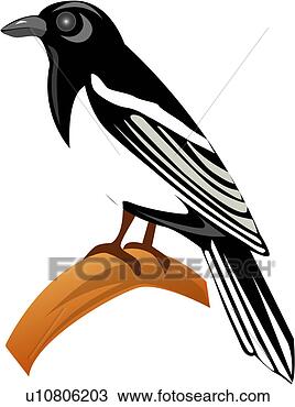 Clipart - magpie, animal, 
birds, bird, vertebrate, 
branch. fotosearch 
- search clipart, 
illustration, 
drawings and vector 
eps graphics images