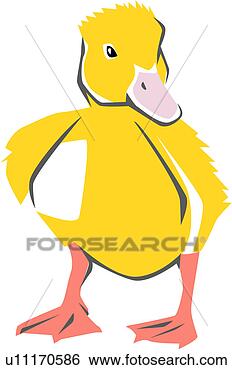 Clip Art - pet, bird, birds, 
vertebrate, duck, 
animal. fotosearch 
- search clipart, 
illustration, 
drawings and vector 
eps graphics images
