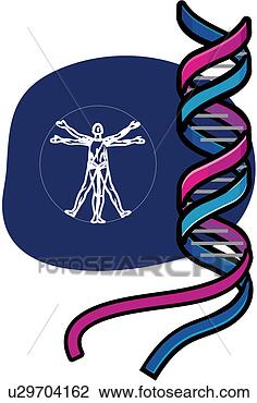 Clipart - spiral, medicine, 
medical student, 
student, medical 
science, dna. 
fotosearch - search 
clipart, illustration, 
drawings and vector 
eps graphics images