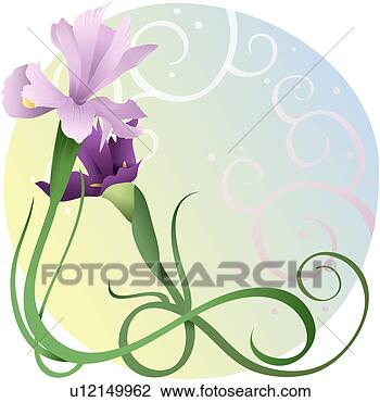 Clipart - blossom, plants, 
bloom, flowers, 
flower, iris, 
plant. fotosearch 
- search clipart, 
illustration, 
drawings and vector 
eps graphics images