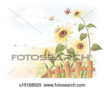 剪贴画 - 向日葵, 夏天