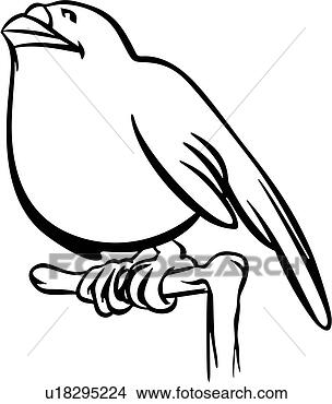 Clipart Vogels