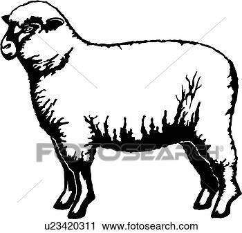 animal-sheep-farm_~u23420311.jpg