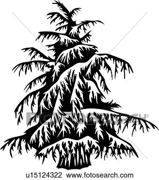 剪图clipart 雪松 季节 树 冬天 varieties