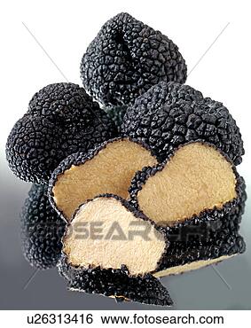 Stock Photo - black truffles. 
fotosearch - search 
stock photos, 
pictures, images, 
and photo clipart