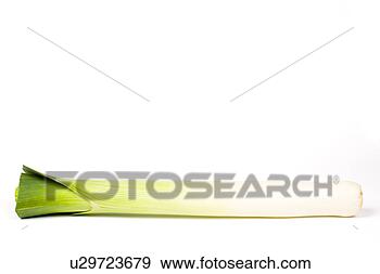 Arquivo Fotográficos - único,  leek. 
fotosearch - busca 
de fotos, imagens 
e clipart