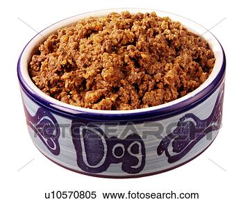 Banco de Imagem - cão,  alimento, 
 branca,  non, 
 exclusivo. fotosearch 
- busca de fotos, 
imagens e clipart