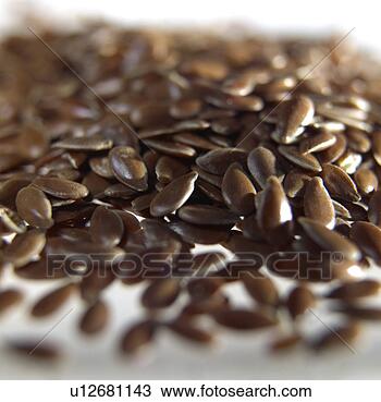 Banco de Imagem - linseeds. fotosearch 
- busca de fotos, 
imagens e clipart
