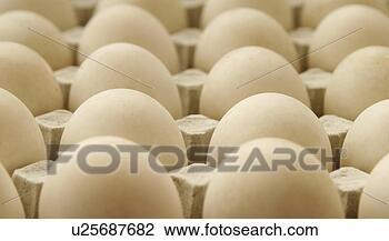 Banco de Imagem - livre,  gama, 
 pato,  ovos, 
 bandeja. fotosearch 
- busca de fotos, 
imagens e clipart