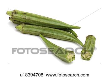 Banco de Imagem - okra,  senhoras, 
 dedos,  ou,  
bindi. fotosearch 
- busca de fotos, 
imagens e clipart