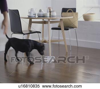Banco de Imagem - pequeno almoço, 
 canto. fotosearch 
- busca de fotos, 
imagens e clipart