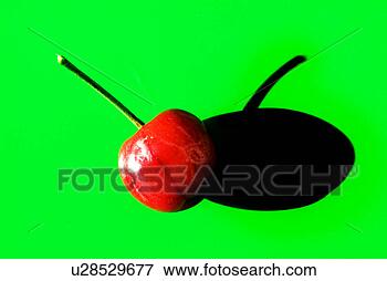 Foto - vermelho,  cereja. 
fotosearch - busca 
de fotos, imagens 
e clipart