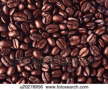 Banco de Imagem - café,  feijões. 
fotosearch - busca 
de fotos, imagens 
e clipart