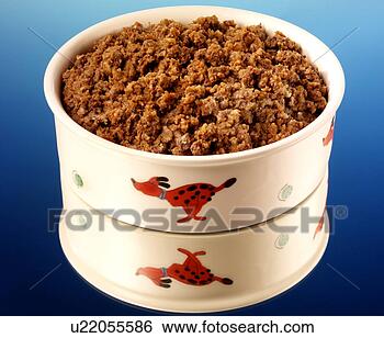 Banco de Imagem - cão,  alimento, 
 non,  exclusivo. 
fotosearch - busca 
de fotos, imagens 
e clipart