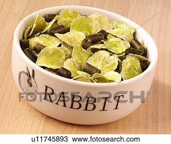 Banco de Imagem - coelho,  alimento, 
 non,  exclusivo. 
fotosearch - busca 
de fotos, imagens 
e clipart