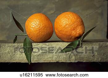 Banco de Imagem - dois,  laranjas, 
 folhas,  pedra, 
 fundo. fotosearch 
- busca de fotos, 
imagens e clipart