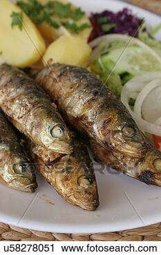 Arquivo de Fotografia - fresco,  sardinhas, 
 serviço doméstico, 
 grelhados,  barbeque. 
fotosearch - busca 
de fotos, imagens 
e clipart