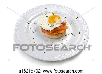 Banco de Imagem - macio,  escalfado, 
 ovo,  muffin, 
 fumado,  salmão. 
fotosearch - busca 
de fotos, imagens 
e clipart