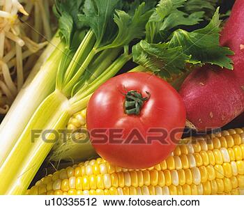 types of vegetables panorama