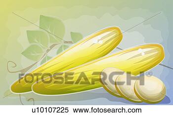 Arquivos de Ilustração - close-up,  dois, 
 pepinos,  fatias. 
fotosearch - busca 
de ilustrações 
clipeart e desenhos