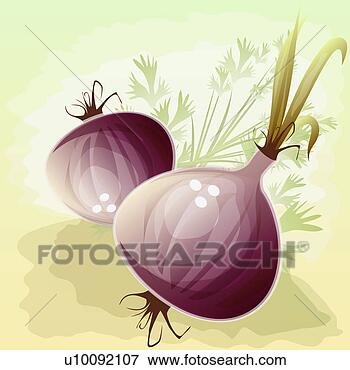 Stock Illustration - close-up of two 
turnips. fotosearch 
- search clipart, 
illustration, 
drawings and vector 
eps graphics images