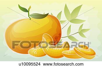Stock Illustration - close-up of a 
whole orange with 
segments. fotosearch 
- search clipart, 
illustration, 
drawings and vector 
eps graphics images