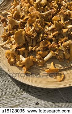Stock Image - mushroom, heap, 
food. fotosearch 
- search stock 
photos, pictures, 
images, and photo 
clipart