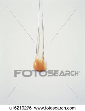 Banco de Imagem - ovo. fotosearch 
- busca de fotos, 
imagens e clipart