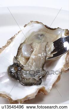Stock Photo - oyster. fotosearch 
- search stock 
photos, pictures, 
images, and photo 
clipart