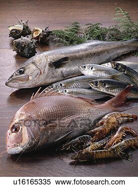 Stock Image - sea food of summer. 
fotosearch - search 
stock photos, 
pictures, images, 
and photo clipart