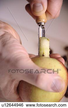 Stock Photo - man removes apple 
core with special 
kitchen utensil, 
close up. fotosearch 
- search stock 
photos, pictures, 
images, and photo 
clipart